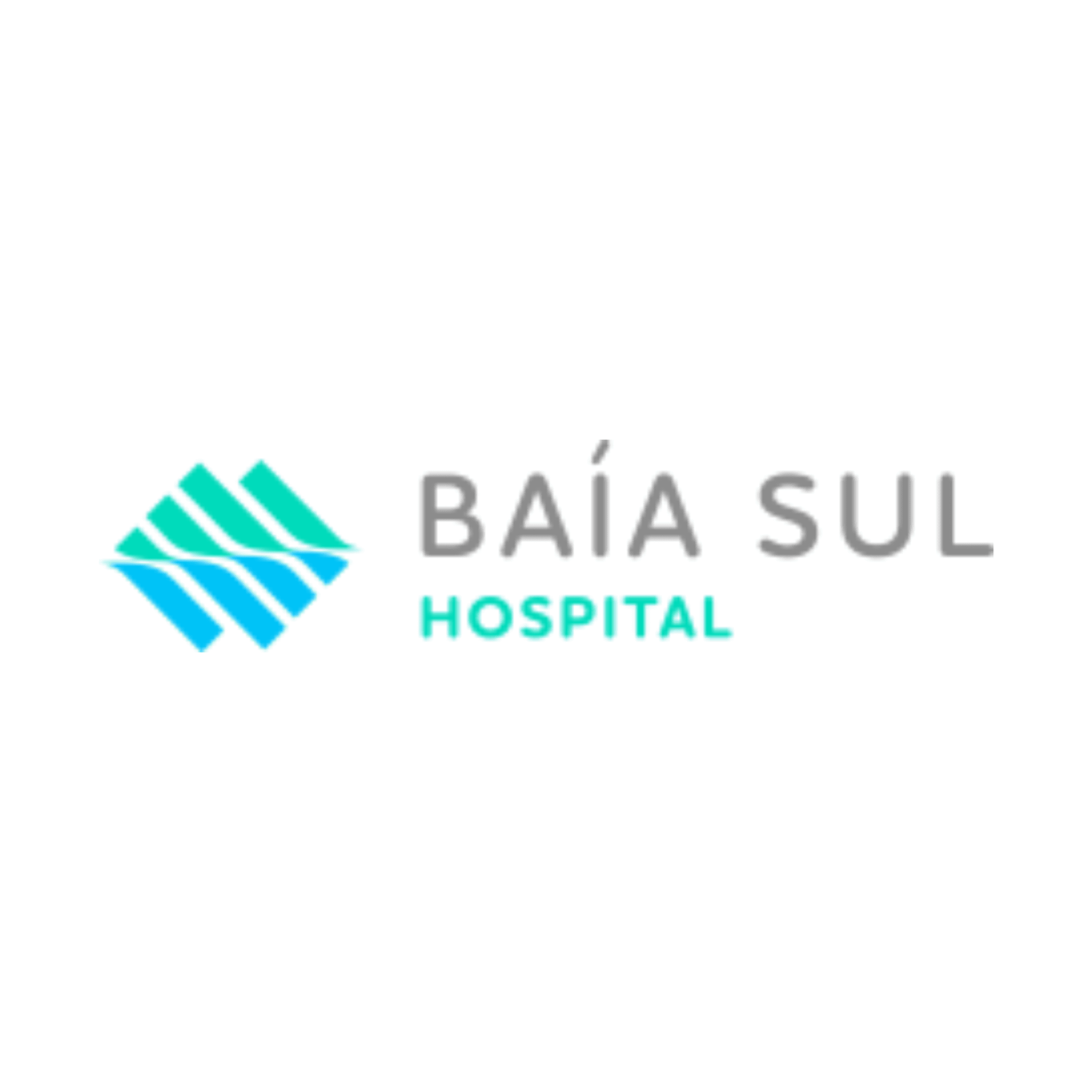 Baía Sul