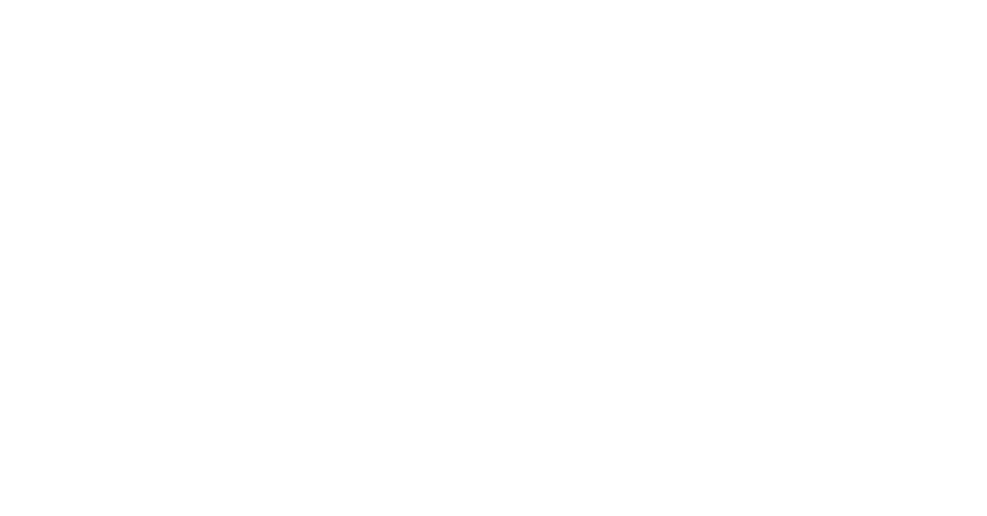 LEVEL ONE 43 ESAG